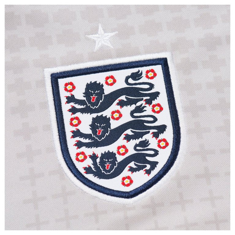 PALACE NIKE ENGLAND DRI-FIT ACADEMY PRO SHORT-SLEEVE FOOTBALL TOP PEWTER GREY / BRIGHT CRIMSON