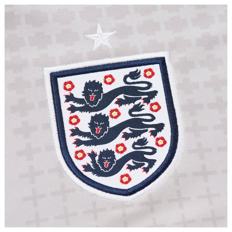 PALACE NIKE ENGLAND DRI-FIT ACADEMY PRO SHORT-SLEEVE FOOTBALL TOP PEWTER GREY / BRIGHT CRIMSON by prosper - prosper